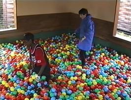 Jordan and Clyde in the ball pool at Goonhavern